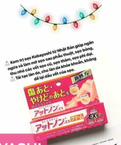 kem tri seo kobayashi nhat ban2