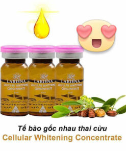 te bao goc nhau thai cuu laviena placenta serum concentrate 8