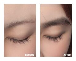 Tinh Chất Dưỡng Mi Etude House My Lash Serum