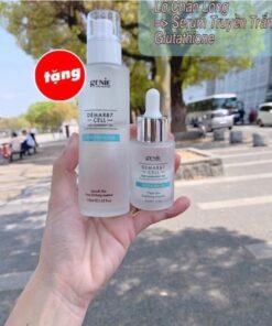 Dermar87 cell glutathione 15