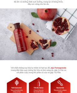 innisfree jeju pomegranate revitalizing toner 6
