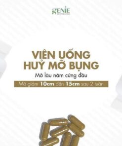 vien uong tan mo bung genie demar87 cell professional belly balance 7