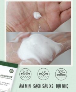 sua rua mat tri mun caryophy portulaca cleansing foam4