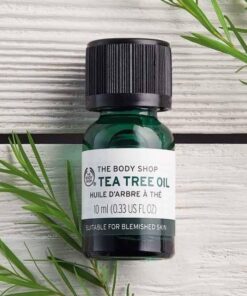 Tinh dầu trị mụn kháng khuẩn Tea Tree Oil The Body Shop