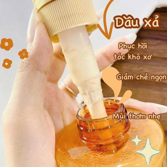 Dầu gội LOreal Paris Elseve Extraordinary Oil Smooth Shampoo
