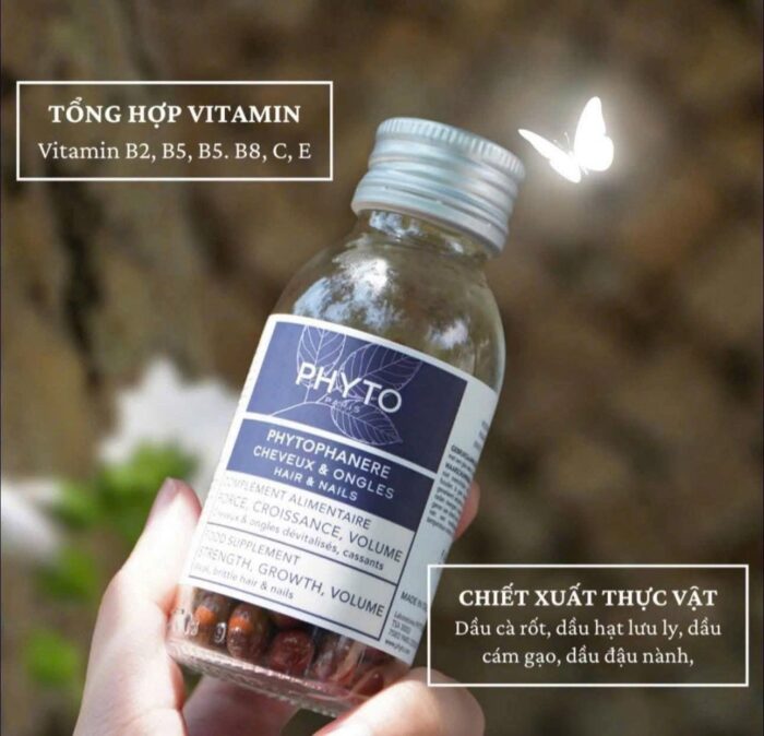 Viên uống mọc tóc Phyto Phanere
